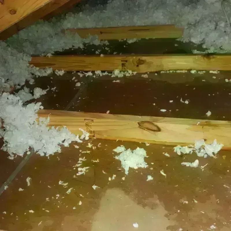 Attic Water Damage in Clinton, NC