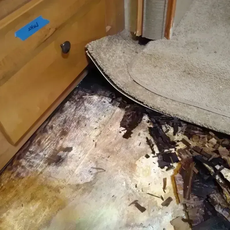 Wood Floor Water Damage in Clinton, NC